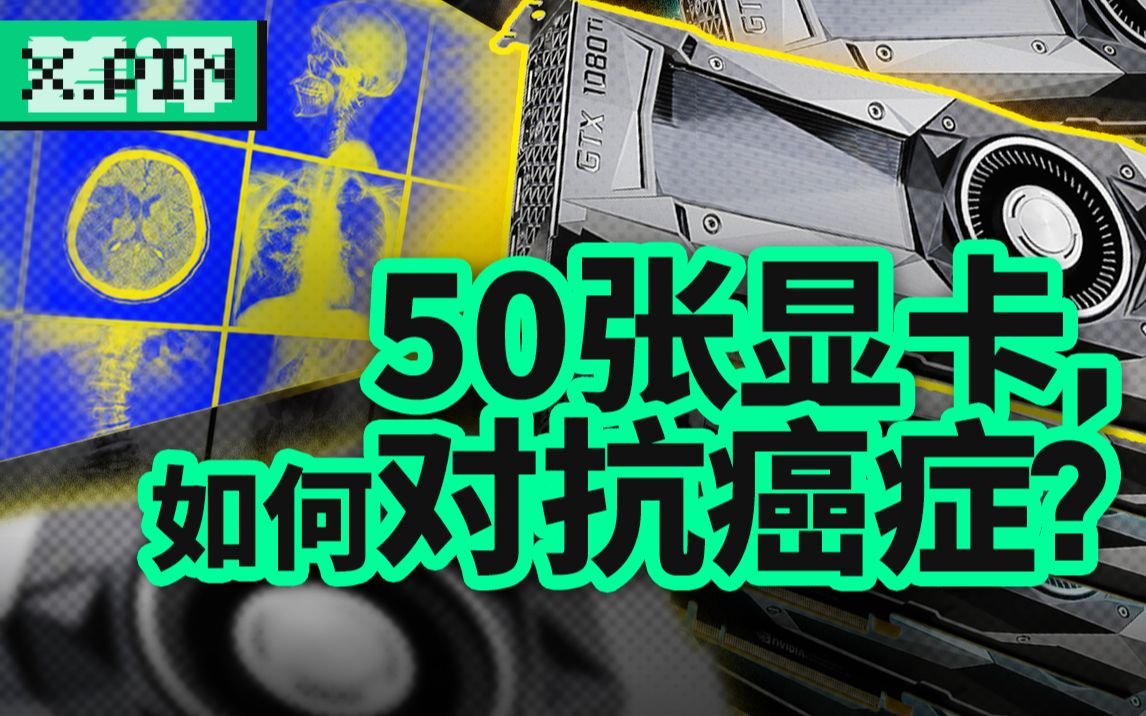 这名“业余”程序员，曾用50张1080ti对抗癌症【差评君】