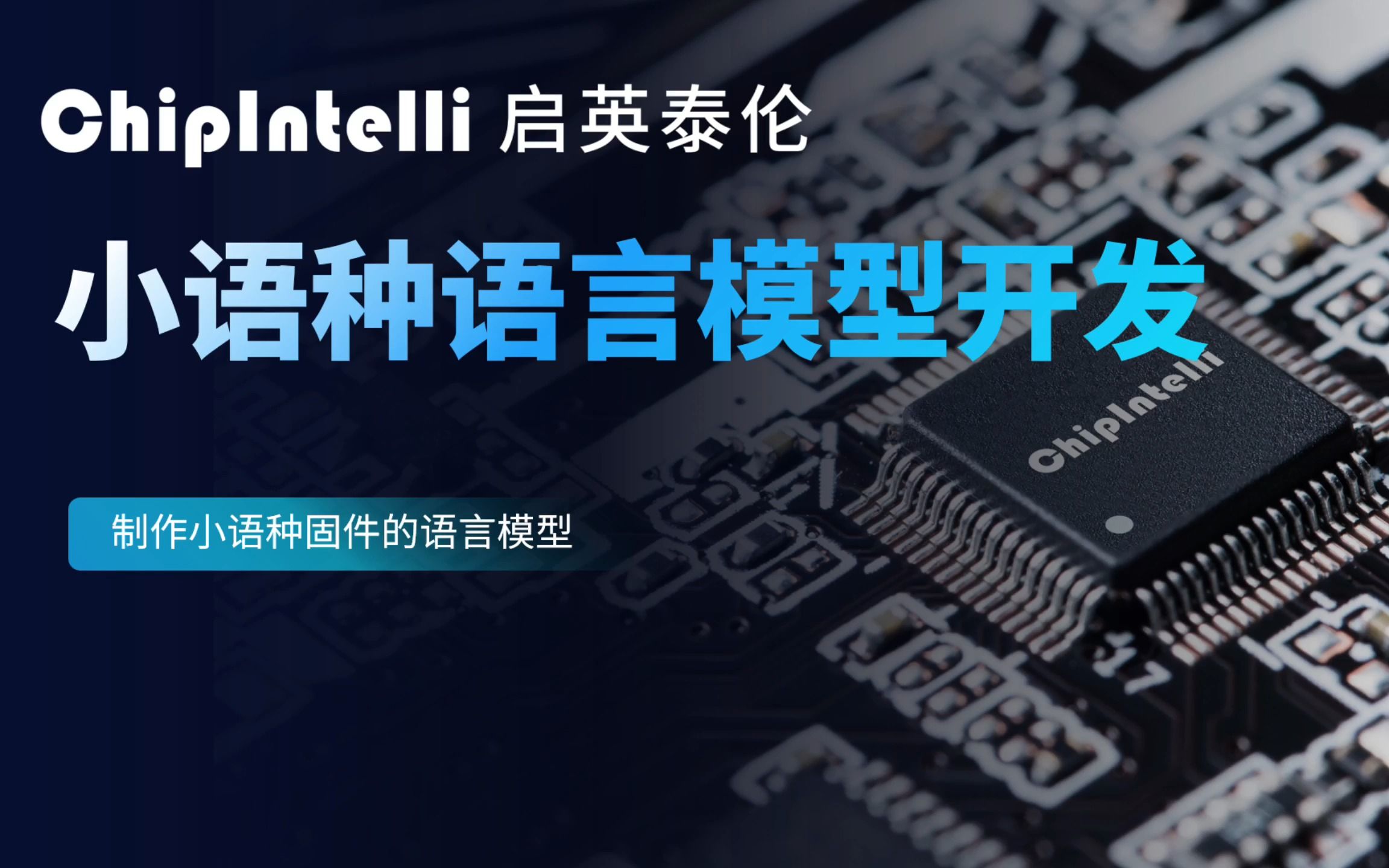 10 小语种语言模型开发