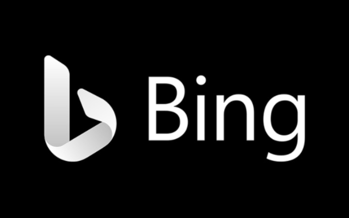 看看这个有趣的bing