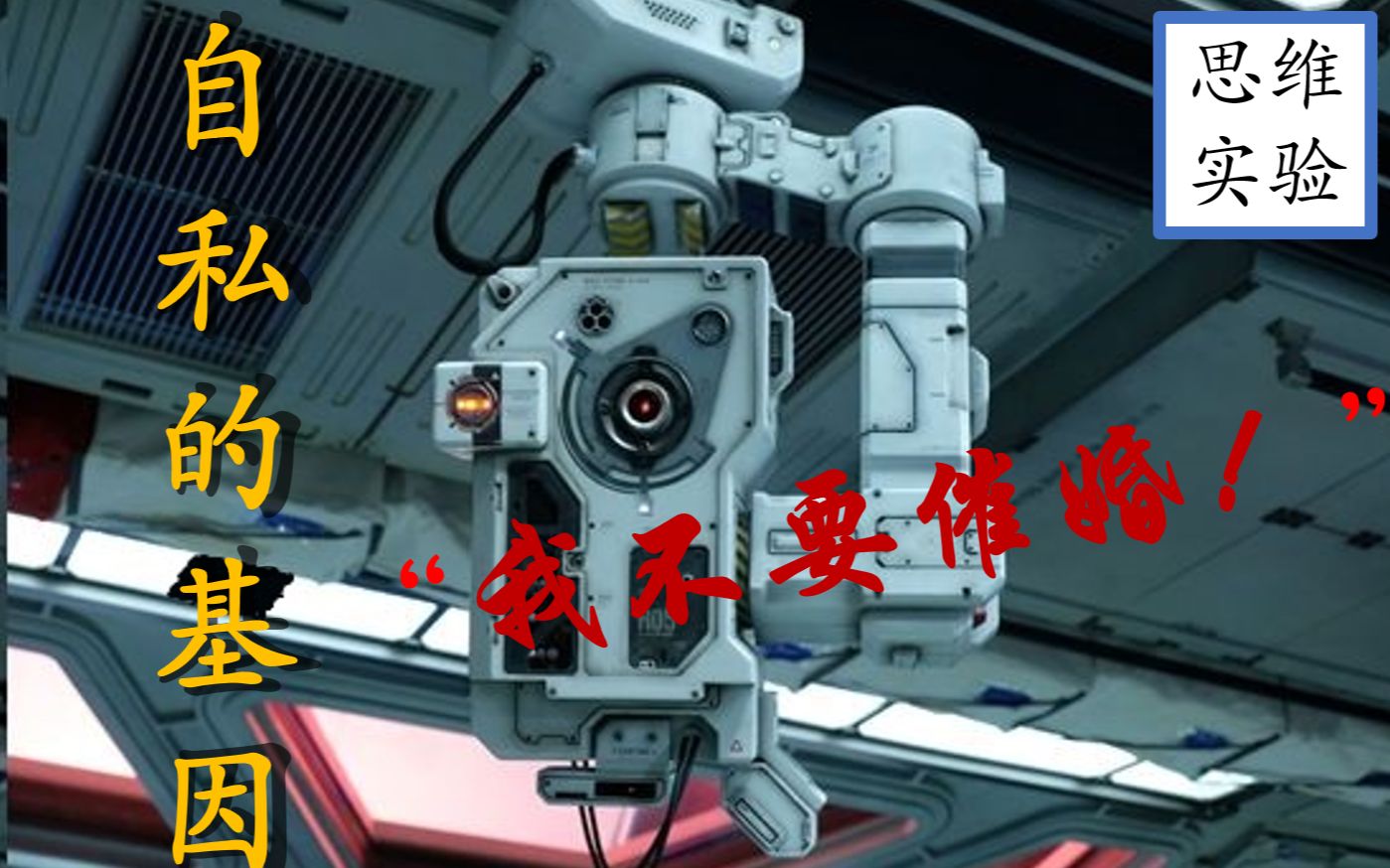 人生本来就没有任何意义！【思维实验室】第十一期 自私的基因，颠覆你对生命的认知