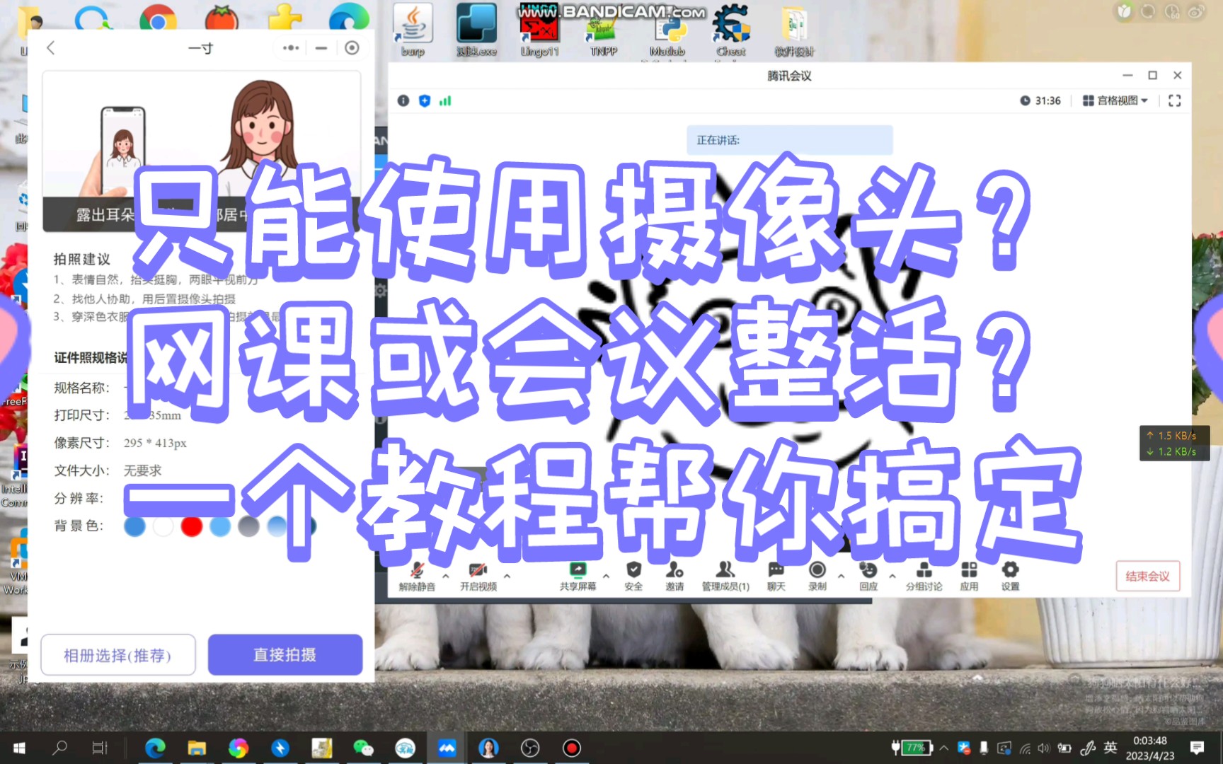 虚拟摄像头快速搞定，上传自定义头像和会议整活