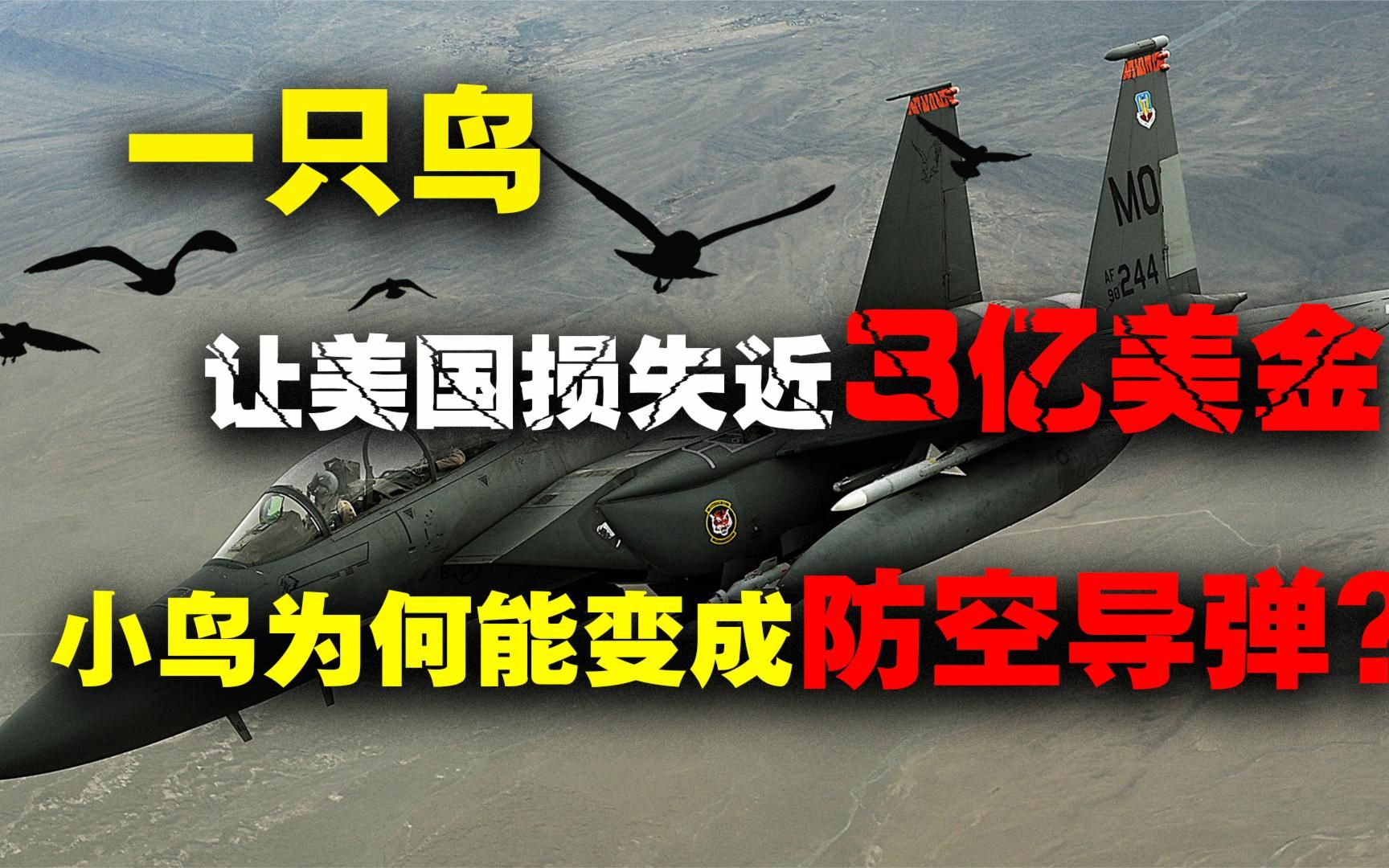 小鸟成为防空导弹？美国将近3亿美金轰炸机坠毁，凶手竟是一只鸟