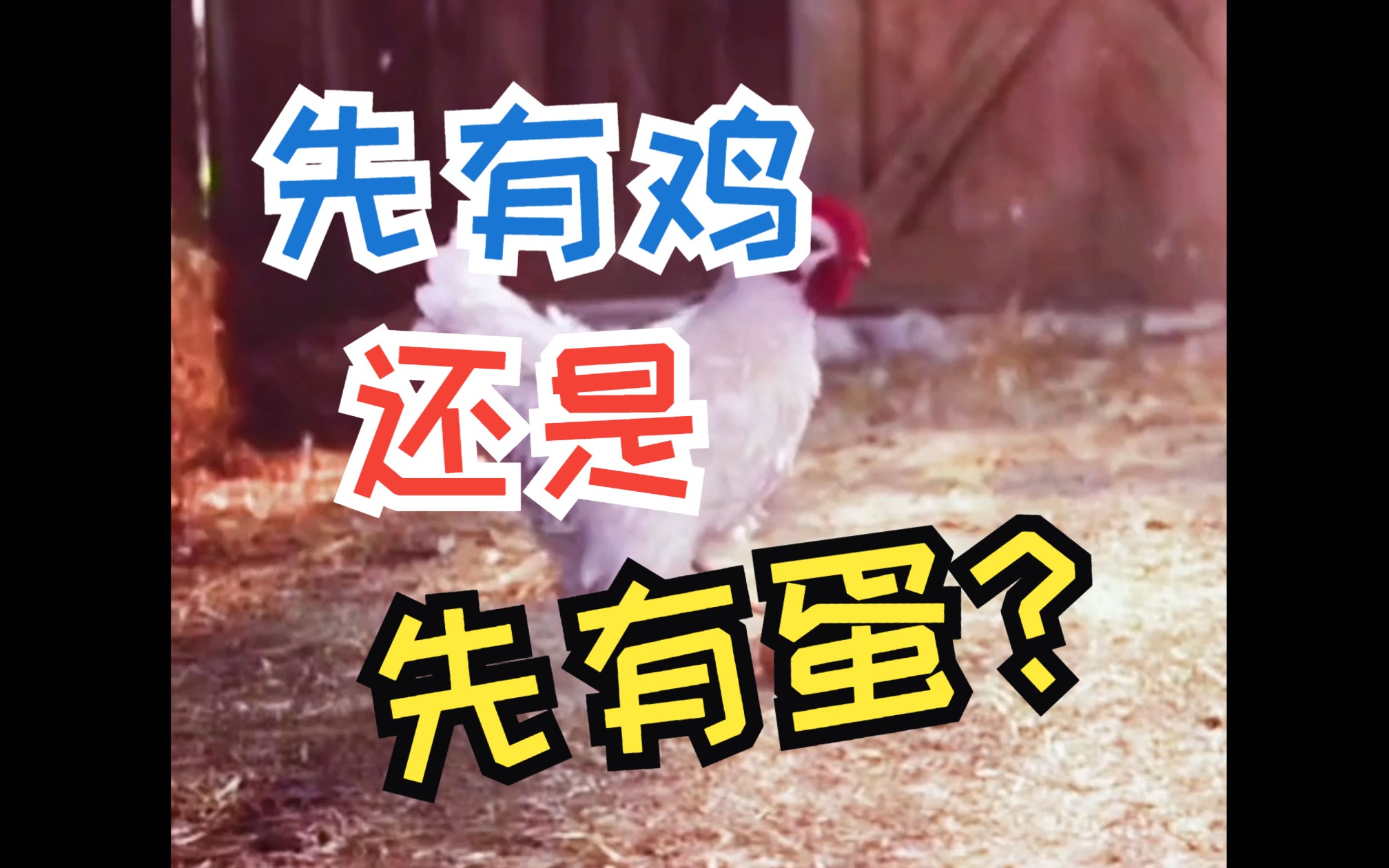 当我问GPT：先有的鸡还是现有的蛋？