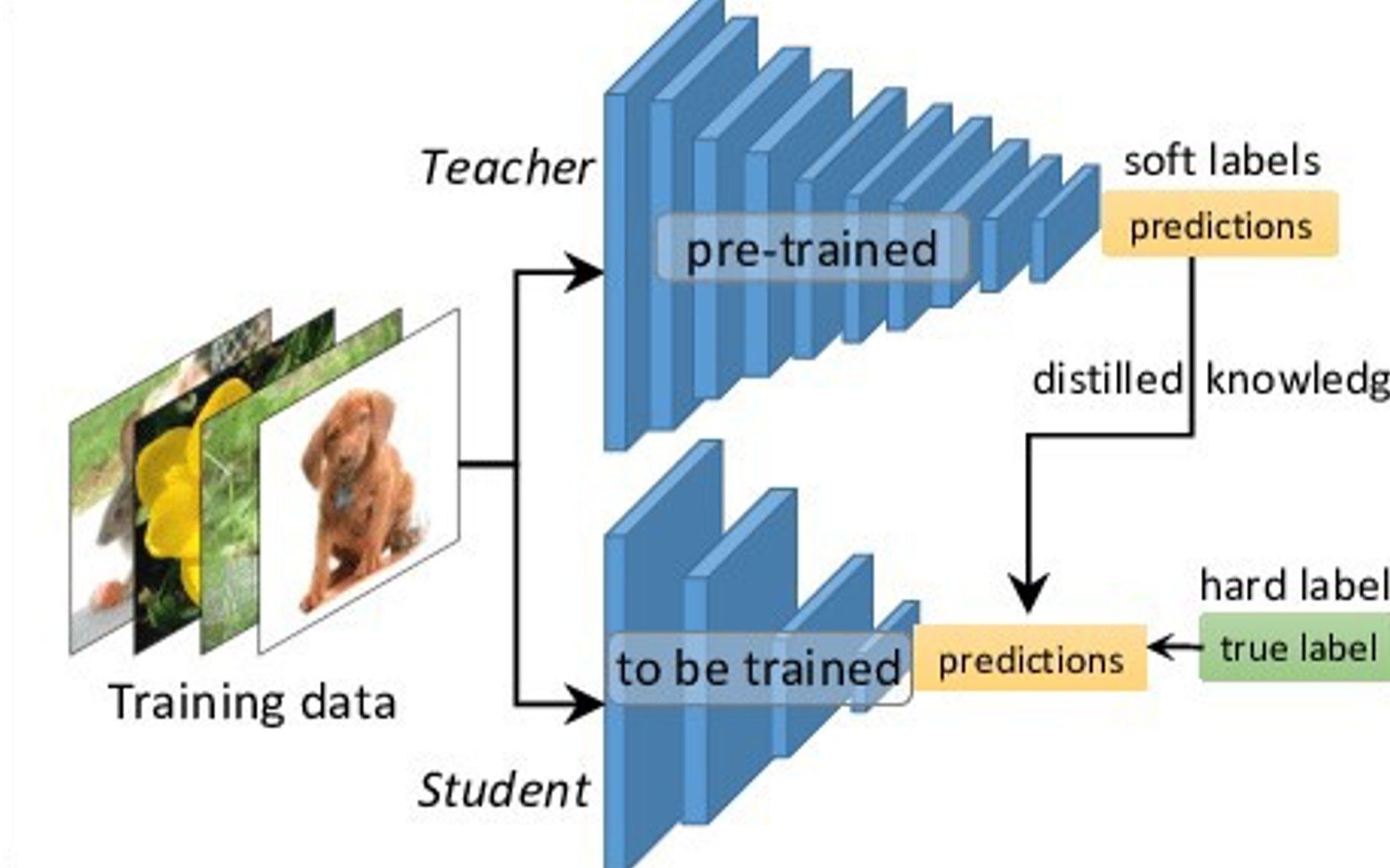 【精读AI论文】知识蒸馏
