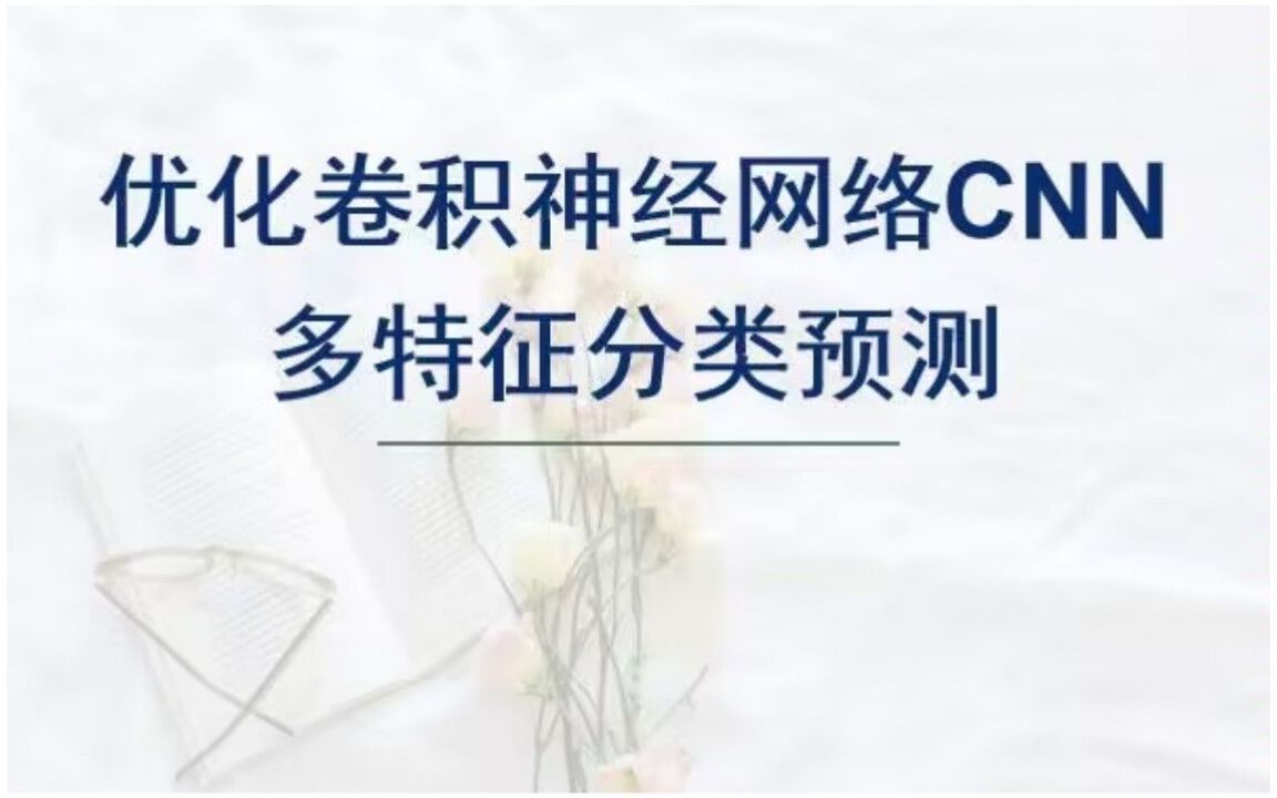 鲸鱼算法(WOA)优化卷积神经网络CNN分类预测，WOA-CNN分类预测，多输入单输出模型。