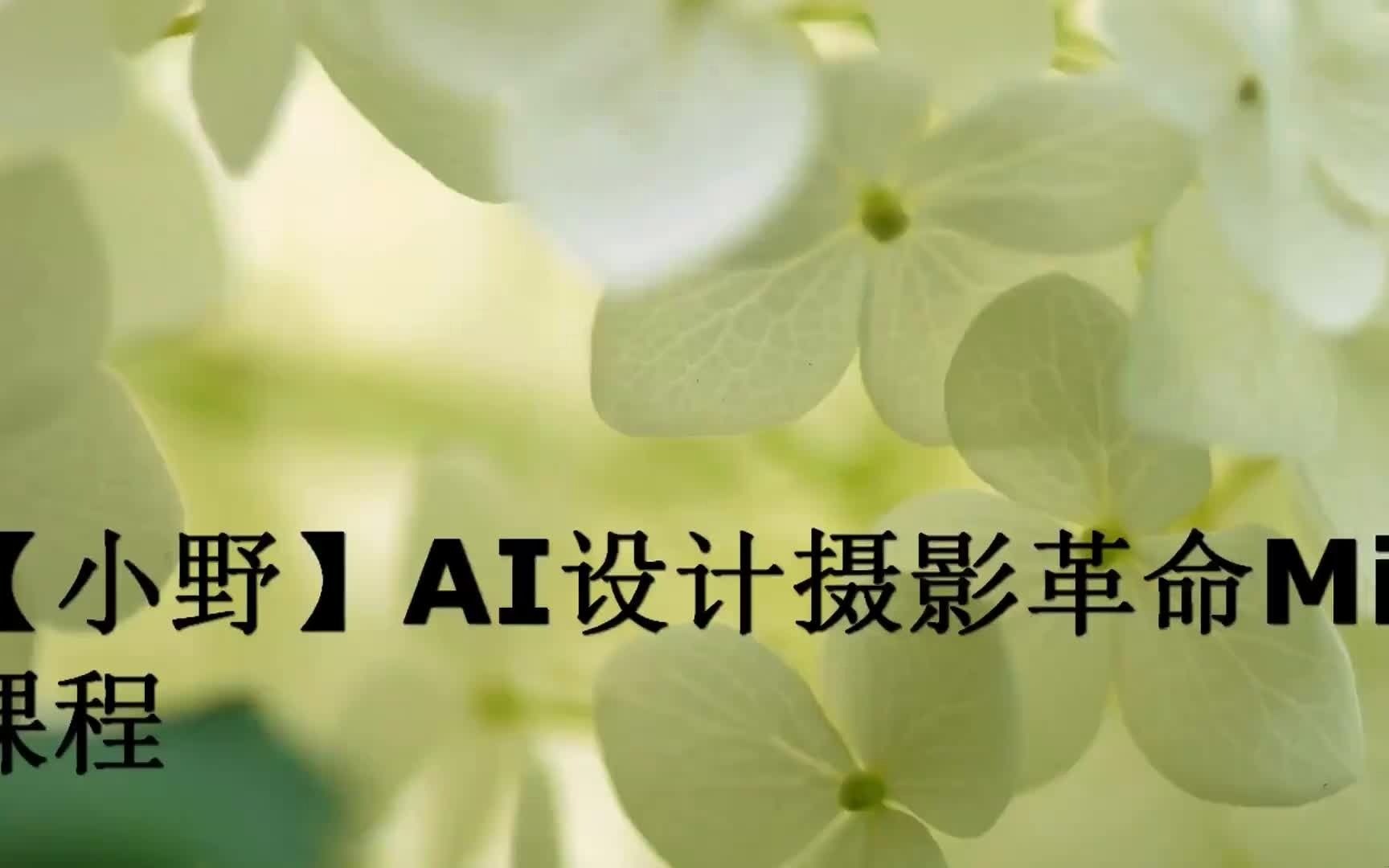 【小野】AI设计摄影革命Midjourney创作课程