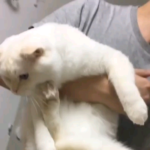 AI航海计划-GPT自媒体精英课真正了解底层，快速从入门到进阶