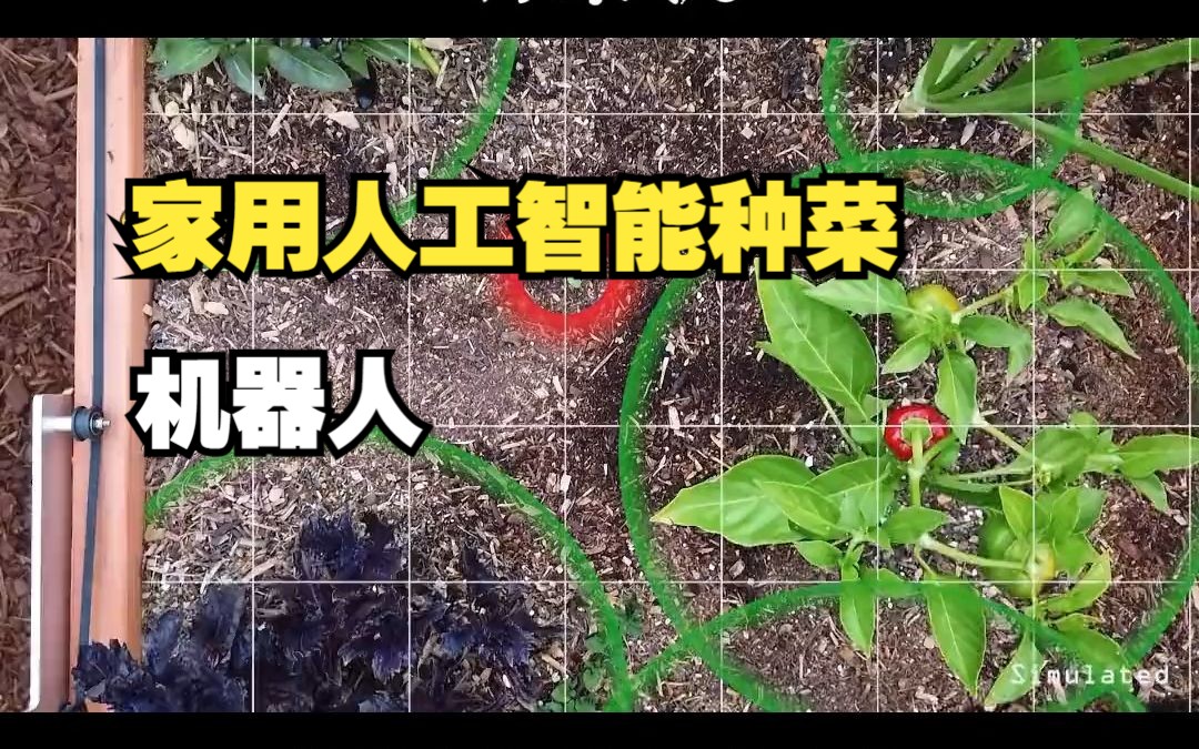AI让种菜变得如此轻松_人工智能