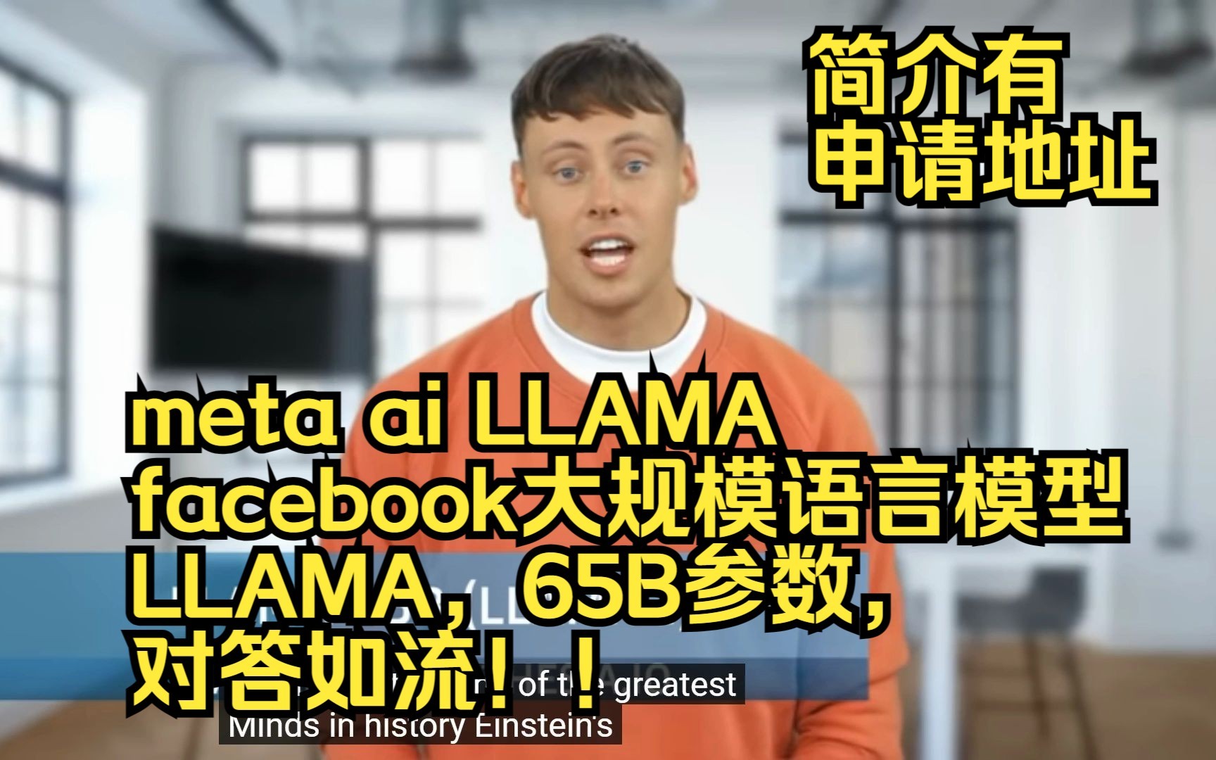 [附申请地址]meta ai LLAMA facebook大规模语言模型LLAMA，65B参数，对答如流！！