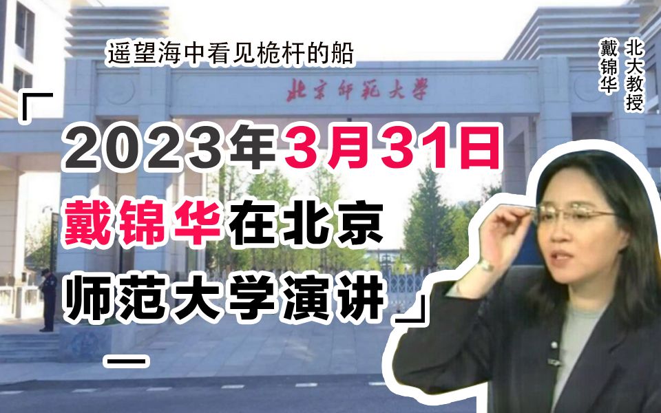 戴锦华谈Chat GPT   戴锦华-北大教授