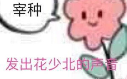 国内首个内置花老师语音包的人工智能