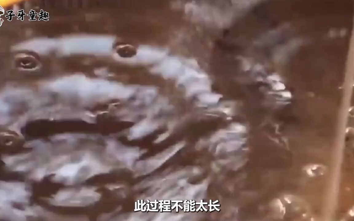 世界上最贵的，一个就卖3万8千块，到底是怎么种出来的？