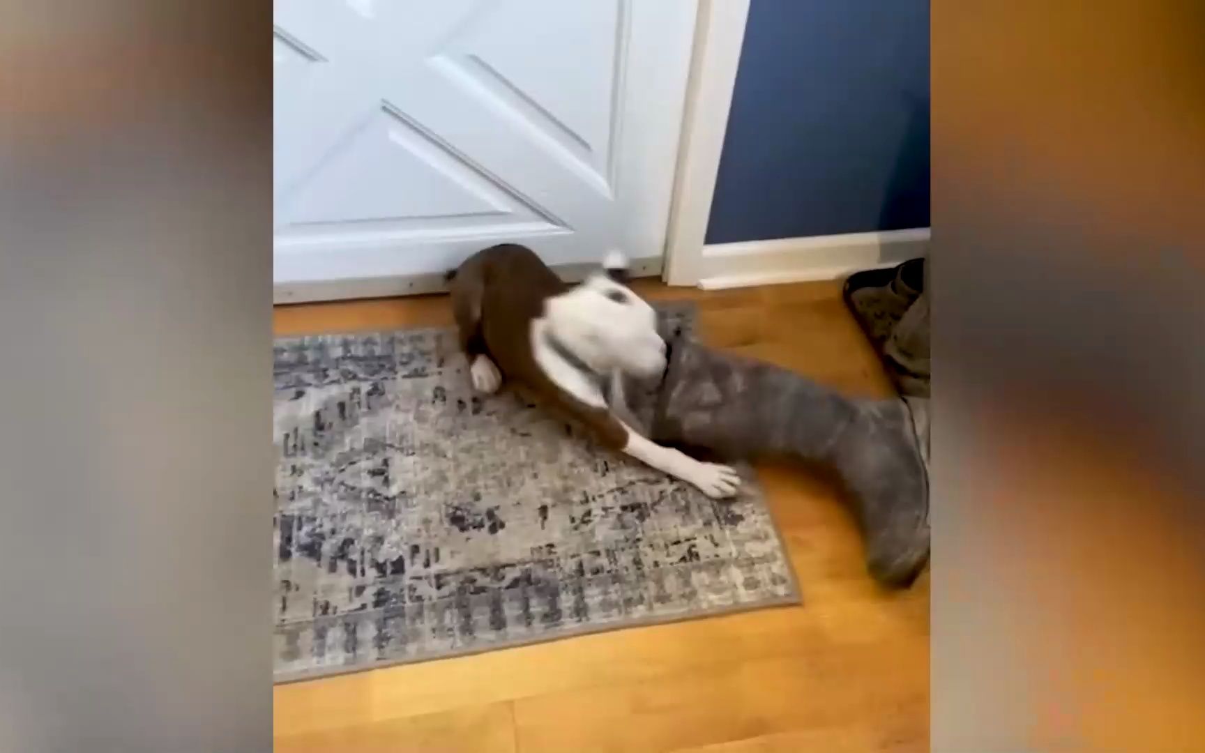 OpenAI CEO评马斯克：他是英雄，但在推特上是混蛋