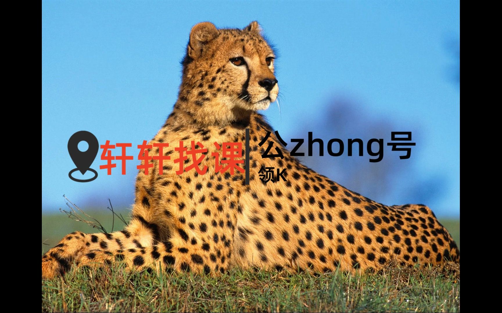 《写意花鸟画》+《山水画》全套系统国画组合课程---近他跟他交友与城里人交友但他俩就好像是如