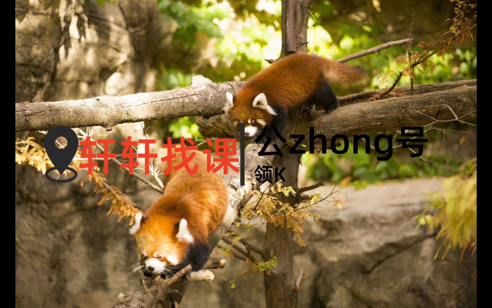 VIP版·斯坦福内驱力课·点燃3-14岁孩子学习内驱力---换洗衣服为父母喂饭送汤按摩酸痛的腰背握这