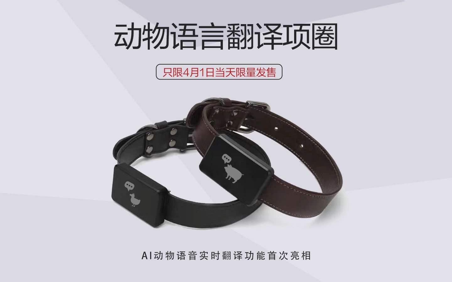 想和你的宠物对话吗？华为云动物语言翻译圈来了~