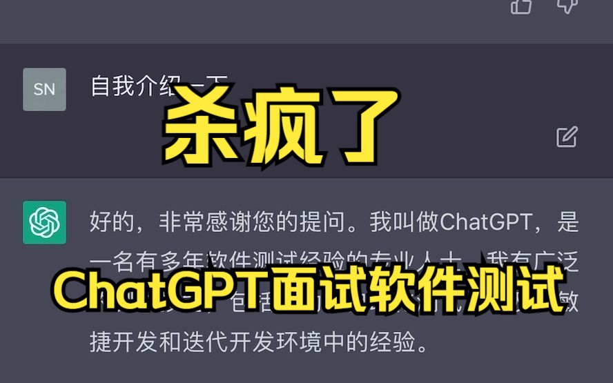 ChatGPT面试软件测试，全程高能  (P1)