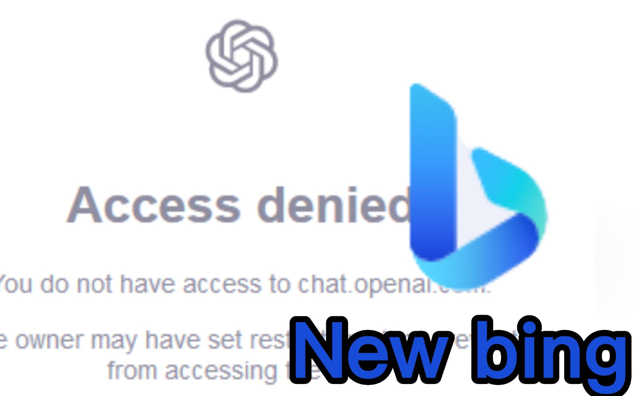 ChatGPT被禁？Newbing：无所谓，我会出手