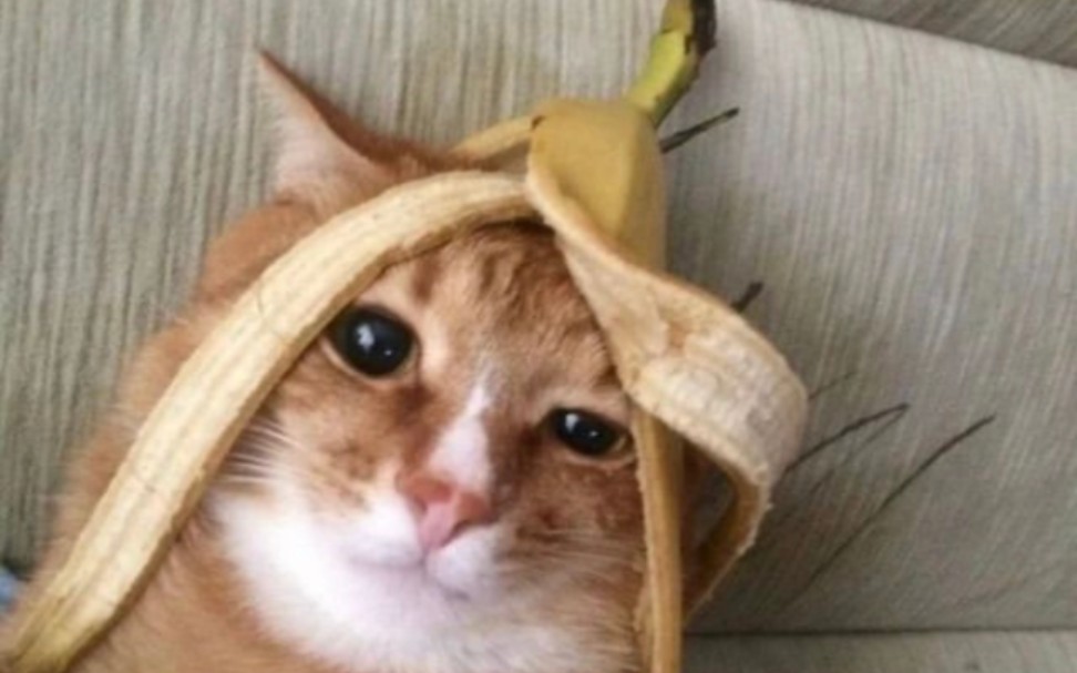 人工智障生成的视频(runway制作)