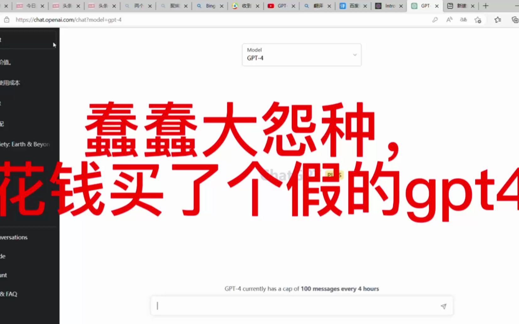蠢蠢大怨种,花200快买了一个GPT-4,结果还是假的?!
