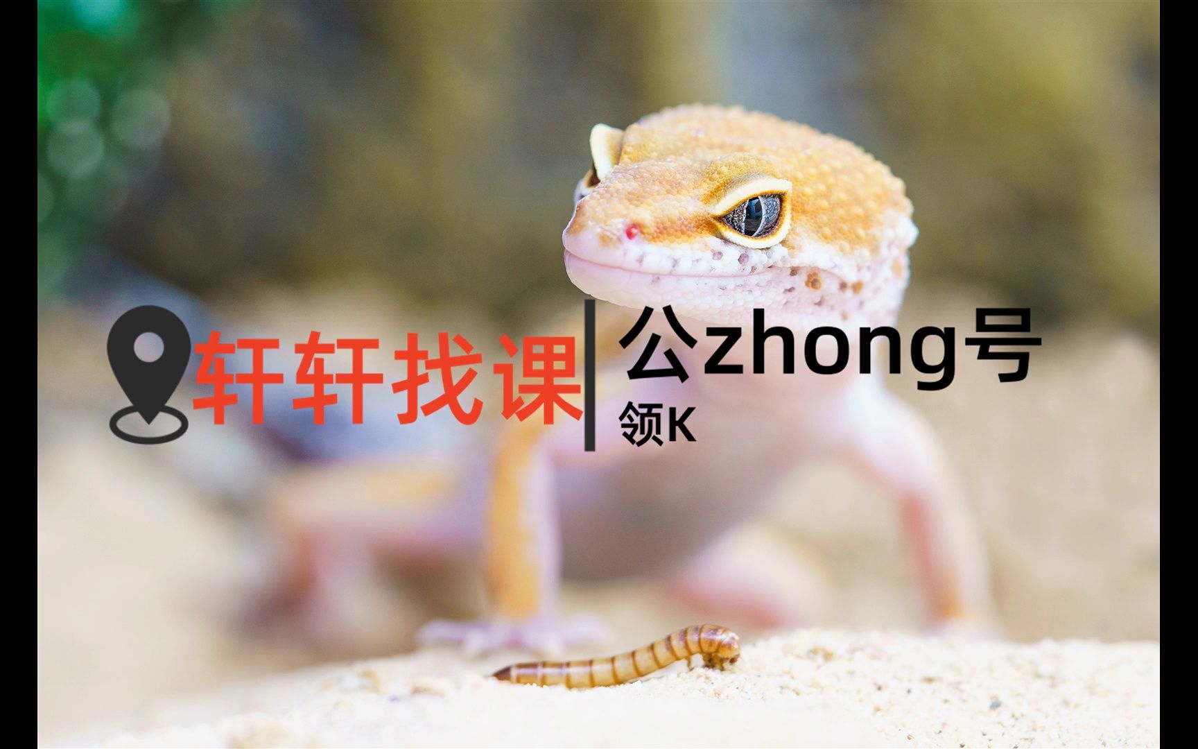 01.【慕课】前端模拟面试，给你真实的求职体验和面试经验【第六章】---才恍然发现二个月的暑假已转到了尽头他的面